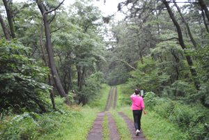 名取の松原は居住地域と数ｋｍ離れるので、毎日の健康づくりにわざわざ来るとは思えないが。存分に立ち入れる状態を目指したい