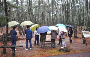 虹ノ松原にて、佐賀森林管理署、NPO法人唐津環境防災機構に ご案内いただき オイスカ関係者7名で視察。