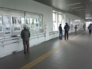 JR名取駅での写真展（～30日）。足を止めてくださる人が何人もいて嬉しかった！