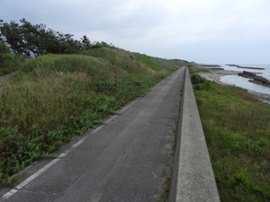 加賀海岸の最前列の典型的姿。消波ブロックも、防潮堤も、砂丘上の草もマツも、一体となって防災を担っている 