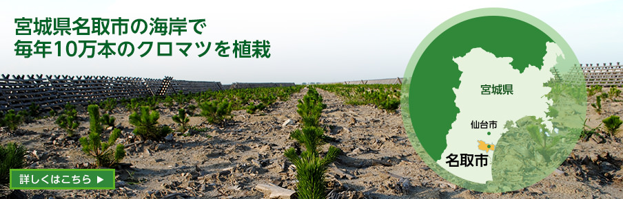 宮城県名取市の海岸で毎年10万本のクロマツを植栽