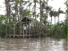 タウンダン村へ続く川のそばで再建設中の家。屋根材となる木も不足しており、作業は思うように進まない