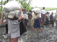 種籾を持ち帰る農民。男性は肩に、女性は頭に載せるのがミャンマー式  