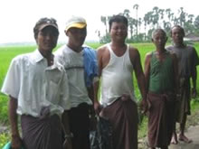小規模融資を実施しているニャウンラン村にて。「貸付金で肥料を買えたおかげで稲がこんなに良く育っている」と話すコミッティーメンバー（写真左端と右側3名）