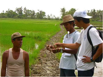実際に農家の人と話をして、苗の生育状況の確認を行うオイスカ・ミャンマー農林業研修センターの藤井氏（右端、タンペ村にて）