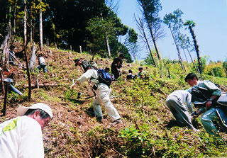 急斜面での竹林整備