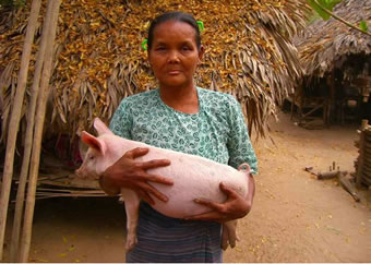所得向上のために、オイスカの融資を得て仔豚を飼った女性(カンゾエ村)