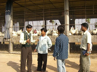養鶏について話を聞く視察メンバー。 写真左はバングラデシュ研修センタースタッフのラヒム氏
