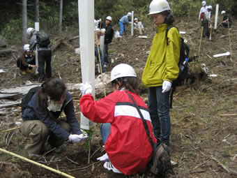 「富士山の森づくり」での植林の１コマ。シカの食害対策用ウッドカードを苗木に取り付けます