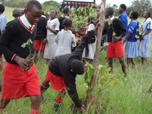 ナイロビ近郊にて、植林をするために苗木を運ぶ子どもたち