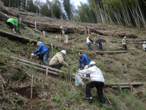 急斜面で行われた静岡の放置竹林整備活動。約60名が参加した