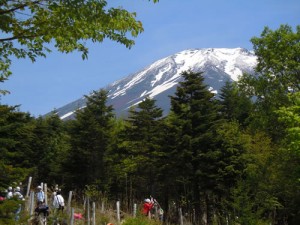 快晴に恵まれ、富士山の山頂も間近に見えた