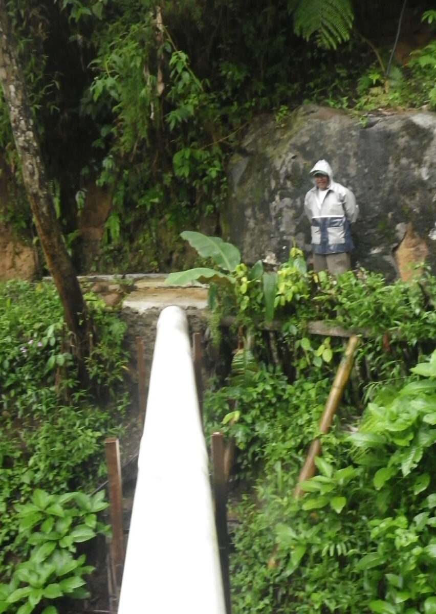 インドネシアでジャングル探検？！