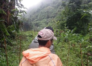 インドネシアでジャングル探検？！