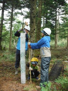 ご主人は2回目、妻子は初めての参加。子供に富士山の自然とそこでの森づくり活動を経験させたくて連れてきました。