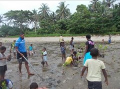 村の子どもも加わって、参加者によるマングローブ植林も行った