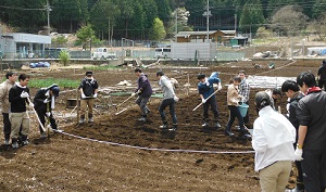 サミット（株）の社員は慣れない鍬仕事に苦労しながらジャガイモの植え付けを体験