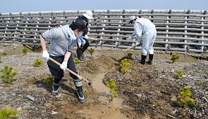水はけの悪い植栽地で溝切り（排水路づくり）をする山形県庁新規職員ら