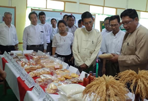  センターで栽培している稲の説明を受ける農業灌漑畜産大臣（右から4番目）