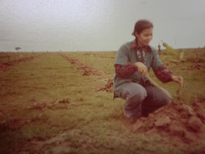 1980年オイスカが植林を開始したスリン県・トゥンクラロンハイ村