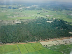 2001年ゾウ寄贈を決めた県知事の計らいで上空から視察。こういう大きめの植林地が27ヵ所。その他に「子供の森」計画が当時県内に70校あまり実施され、見事な森が残っていた