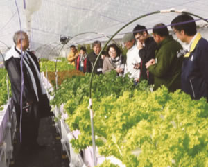 山形県最上町で水耕栽培を視察する一行 