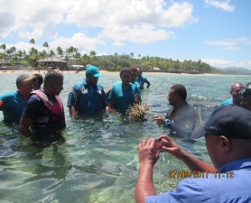 気候変動防止週間に行われたサンゴの植え付け体験