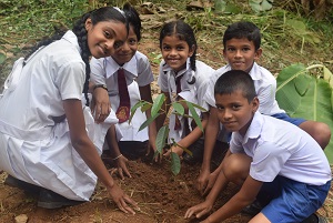 トヨタ環境活動助成プログラムの支援により、21の学校が植林活動に参加。ドリアンやマンゴーの果樹のほか、漢方薬になるメッリやアノーダといった郷土樹種、合計約2100本の苗木が植えられた