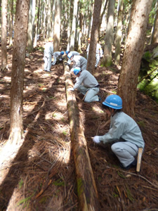 岡崎（愛知県）、京都、水島（岡山県）にある製作所の 新入社員が研修に参加し、森林整備活動を体験 