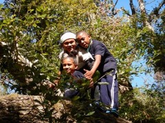 奈良・生駒の自然塾にて。 森では木に登って遊びました