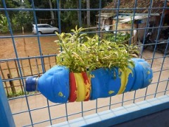 ペットボトルを活用した植木鉢