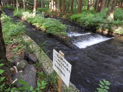 林内には用水が流れ、分流する利水施設もある