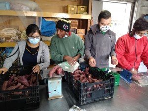 販売準備をする研修生達。つくった野菜を丁寧に袋詰めしています。