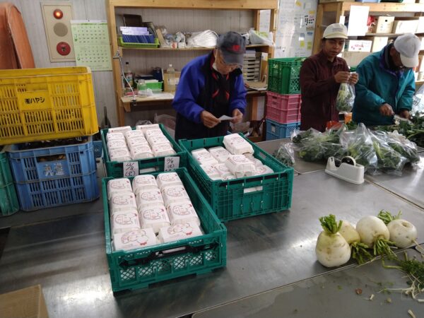 出荷する卵パックの数を数えています。オイスカでは、日本の野菜栽培方法だけでなく、販売方法など様々なことが学べます。