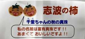 本物の真珠のように、農家の方が丹精込めて栽培された柿です。