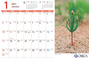 卓上カレンダー2021_1_1