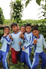 indonesia kodomo