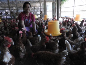 野菜、卵はヤンゴンにまで売りに出す。作る喜び、売る面白さを研修生は教わって卒業する