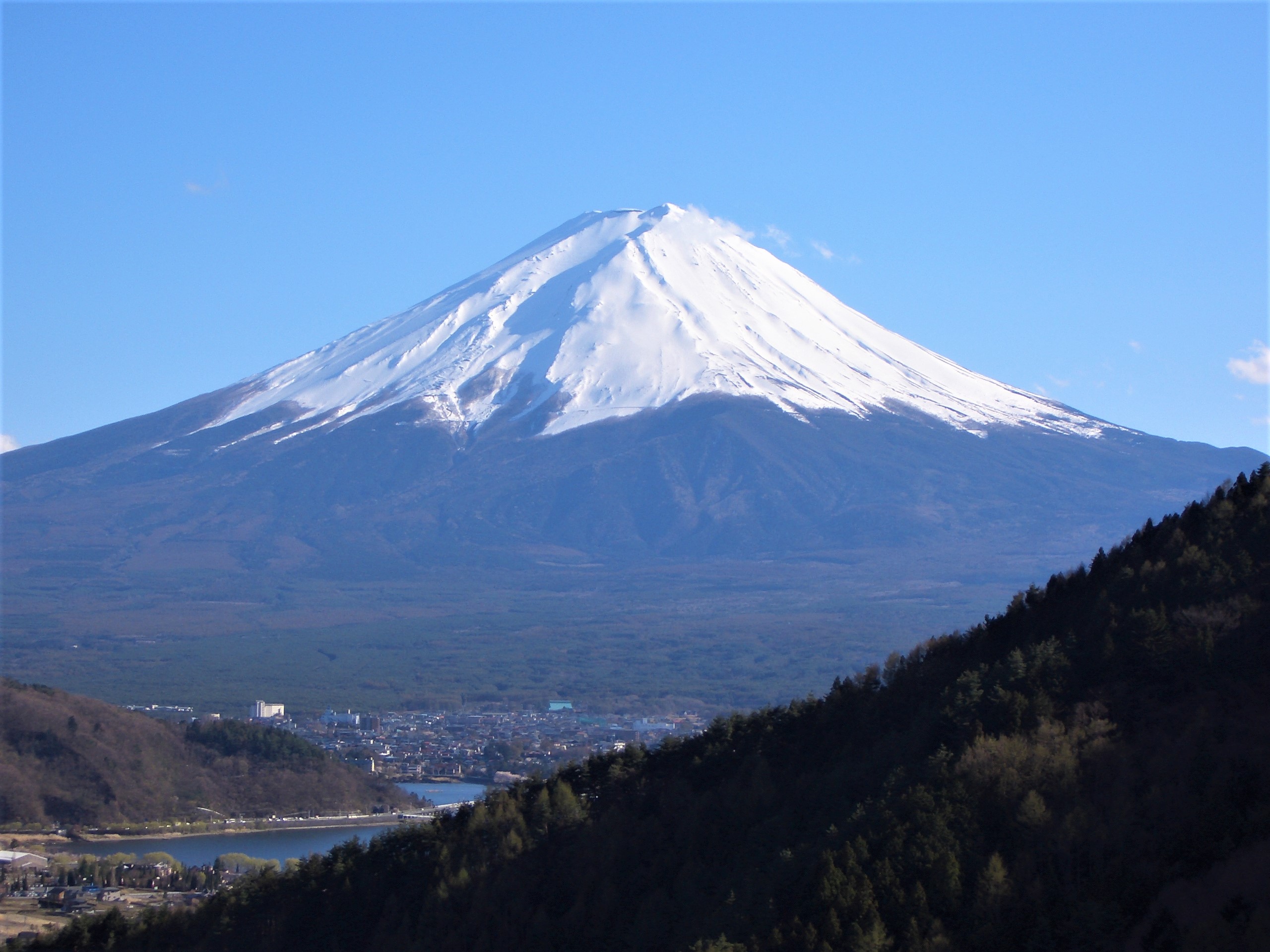 富士山の森づくり - 公益財団法人オイスカ
