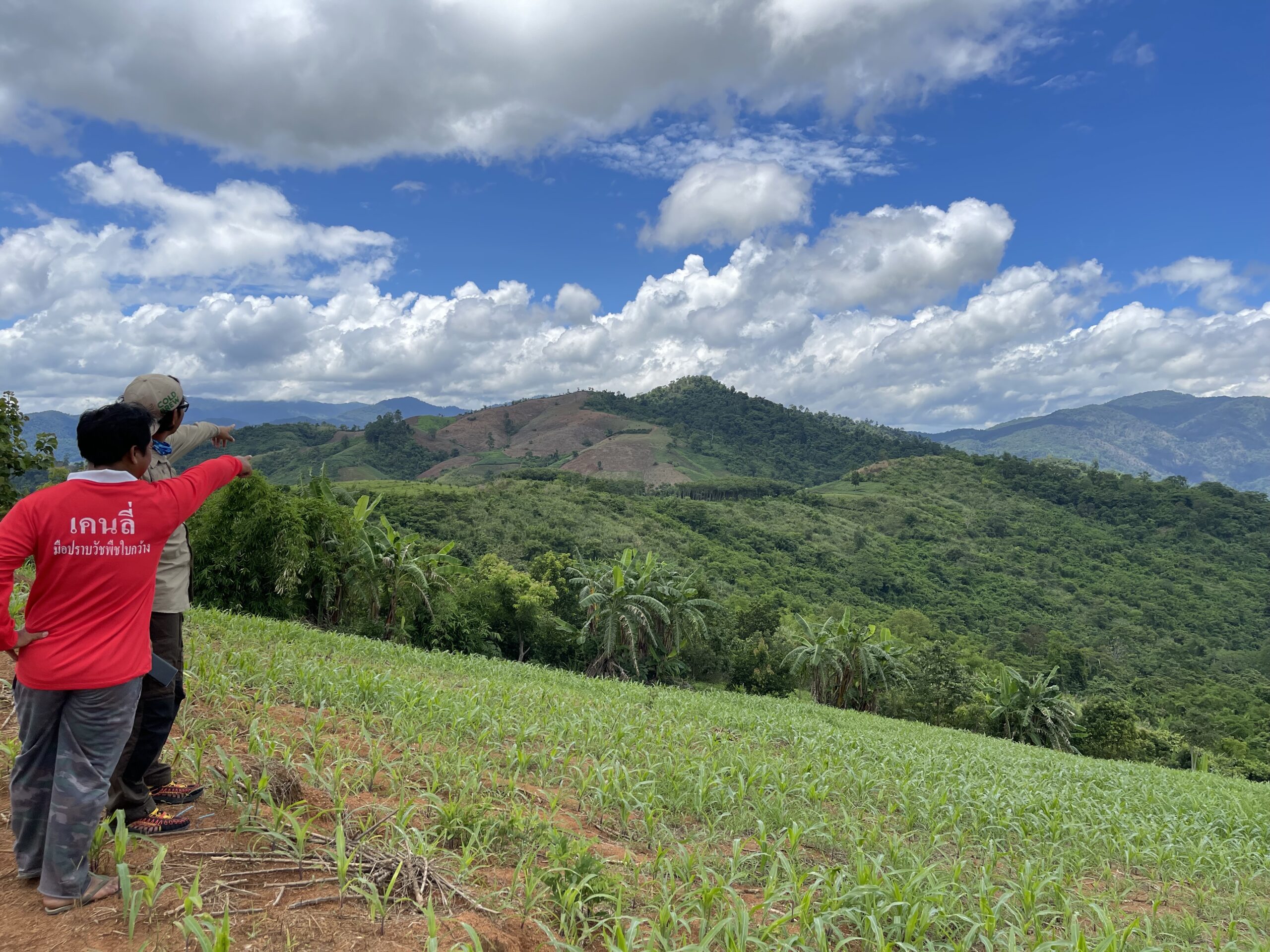 A2A36FDB-A822-402A-A701-