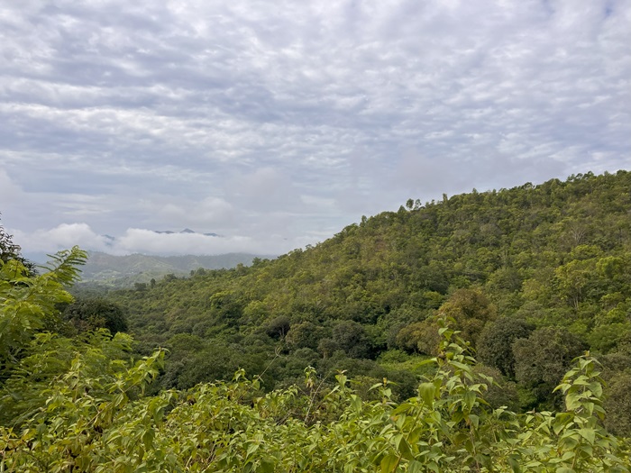 風景