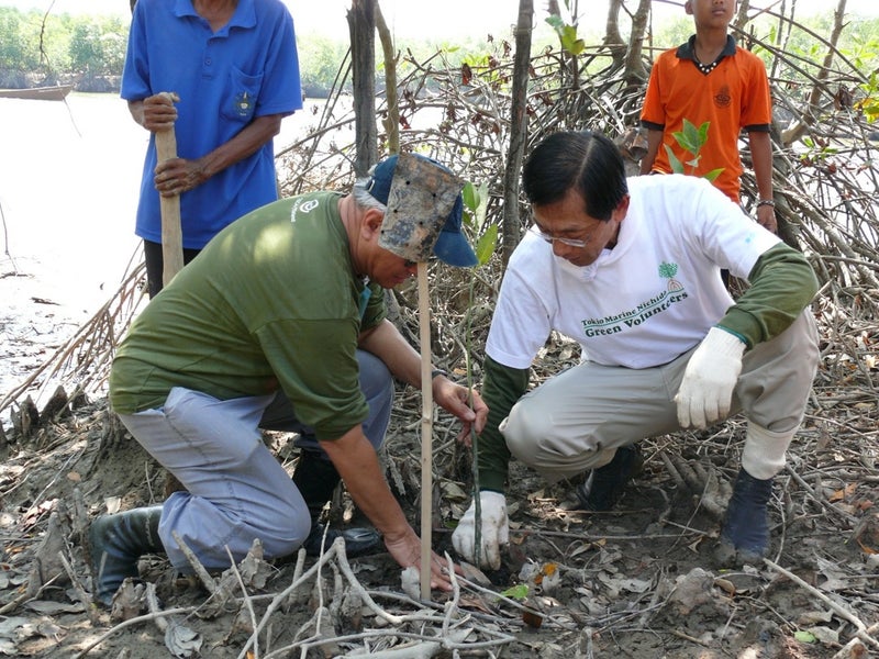 2008年植林