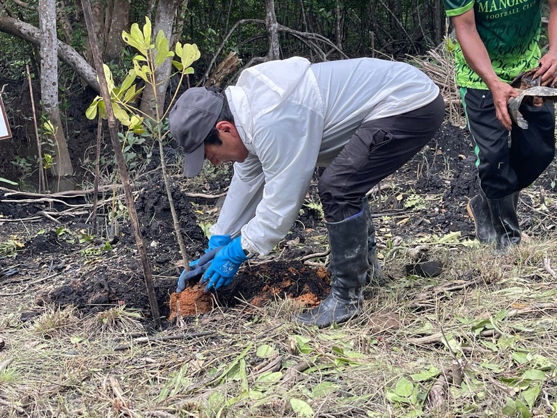 小宮社長の植林