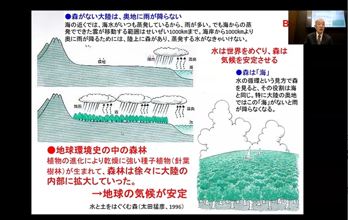 水と土をはぐくむ森